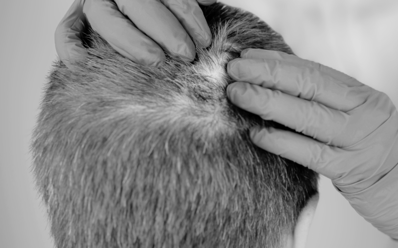 Salon Maromi w Bielsku-Białej(1)